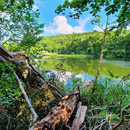 民宿 Haus Drei Seen *